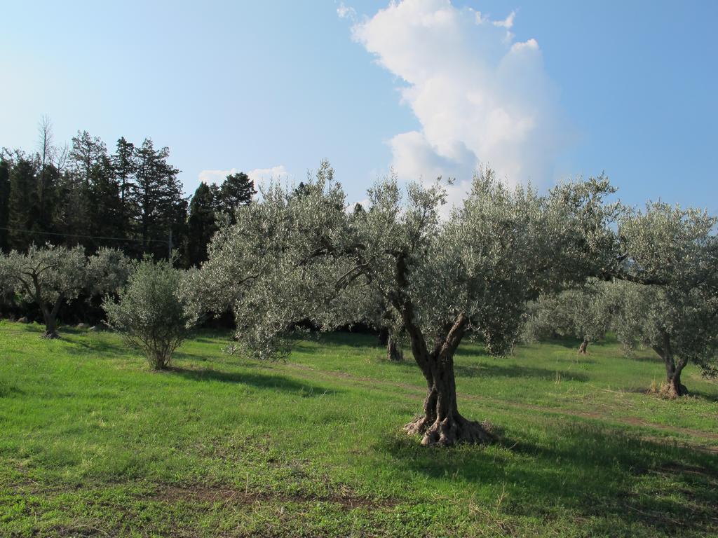 Holiday Home Stella Di Sicilia Acquedolci Exterior photo